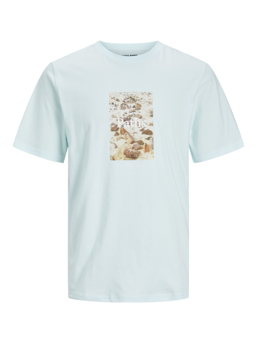 Футболкалар мен поло жейделер JACK & JONES үлгі 12253605_Skylight Фото