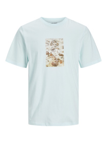 Футболкалар мен поло жейделер JACK & JONES үлгі 12253605_Skylight Фото