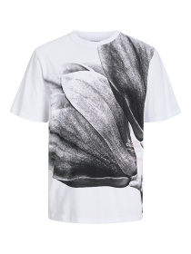 Футболкалар мен поло жейделер JACK & JONES үлгі 12256647_White Фото