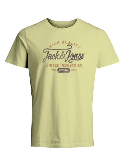 Футболкалар мен поло жейделер JACK & JONES үлгі 12259674_PaleLimeYellow Фото