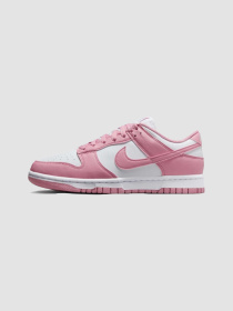 Кросівки NIKE Dunk Low Next Nature модель DD1873-112 Фото
