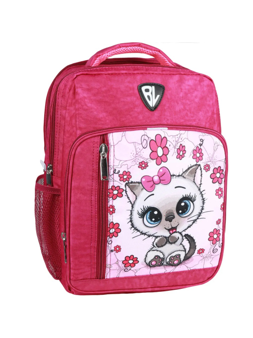 Повсякденний рюкзак Bagland Школяр модель 00012870 Фото