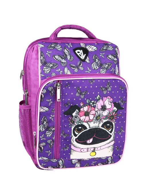 Повседневный рюкзак Bagland Школяр модель 00012870 Фото