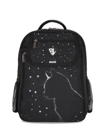 Повседневный рюкзак Bagland Відмінник модель 00058070 Фото