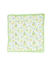 Платок Famo модель APL-102_01 Фото