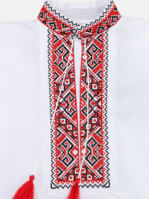 Вишита сорочка YUKI модель ЦБ-00246423 Фото