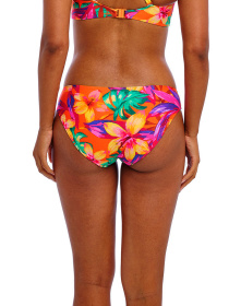 Нижня частина купальника Freya Sun Haze модель 206270 Фото