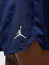 Шорты Jordan M J Df Sprt Woven модель FN5842-410 Фото