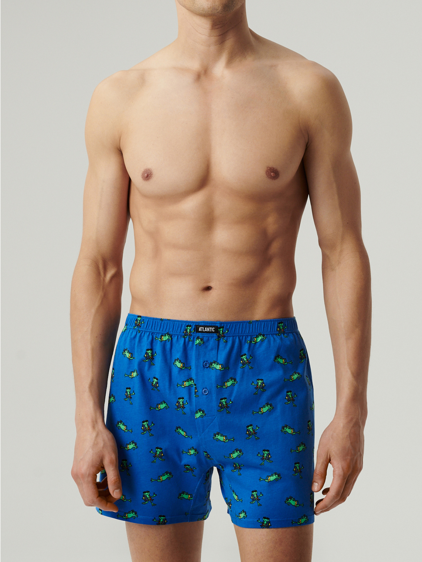 Набір трусів Atlantic модель 2MBH-006 Фото