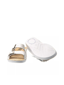 Шлепанцы LEDI Anatomic модель LED-613 Фото