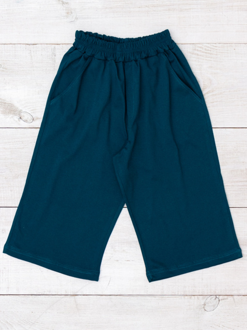 Повседневные шорты Носи своє модель 6208-001-temno-smaragdovij Фото