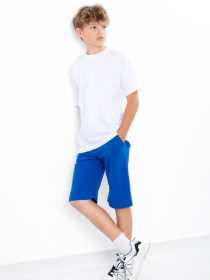 Повседневные шорты Носи своє модель 6208-001-elektrik Фото