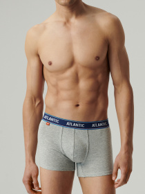 Набір трусів Atlantic модель 3MH-214_GRA_KOR_SZM Фото