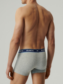 Набір трусів Atlantic модель 3MH-214_GRA_KOR_SZM Фото