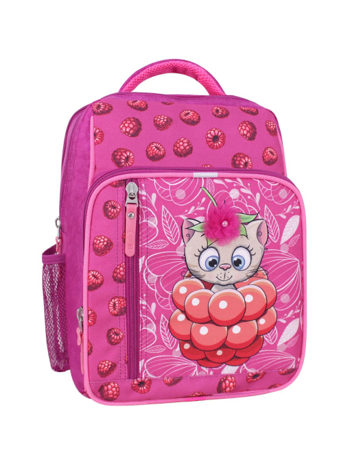 Повседневный рюкзак Bagland Школяр модель 0012870 Фото