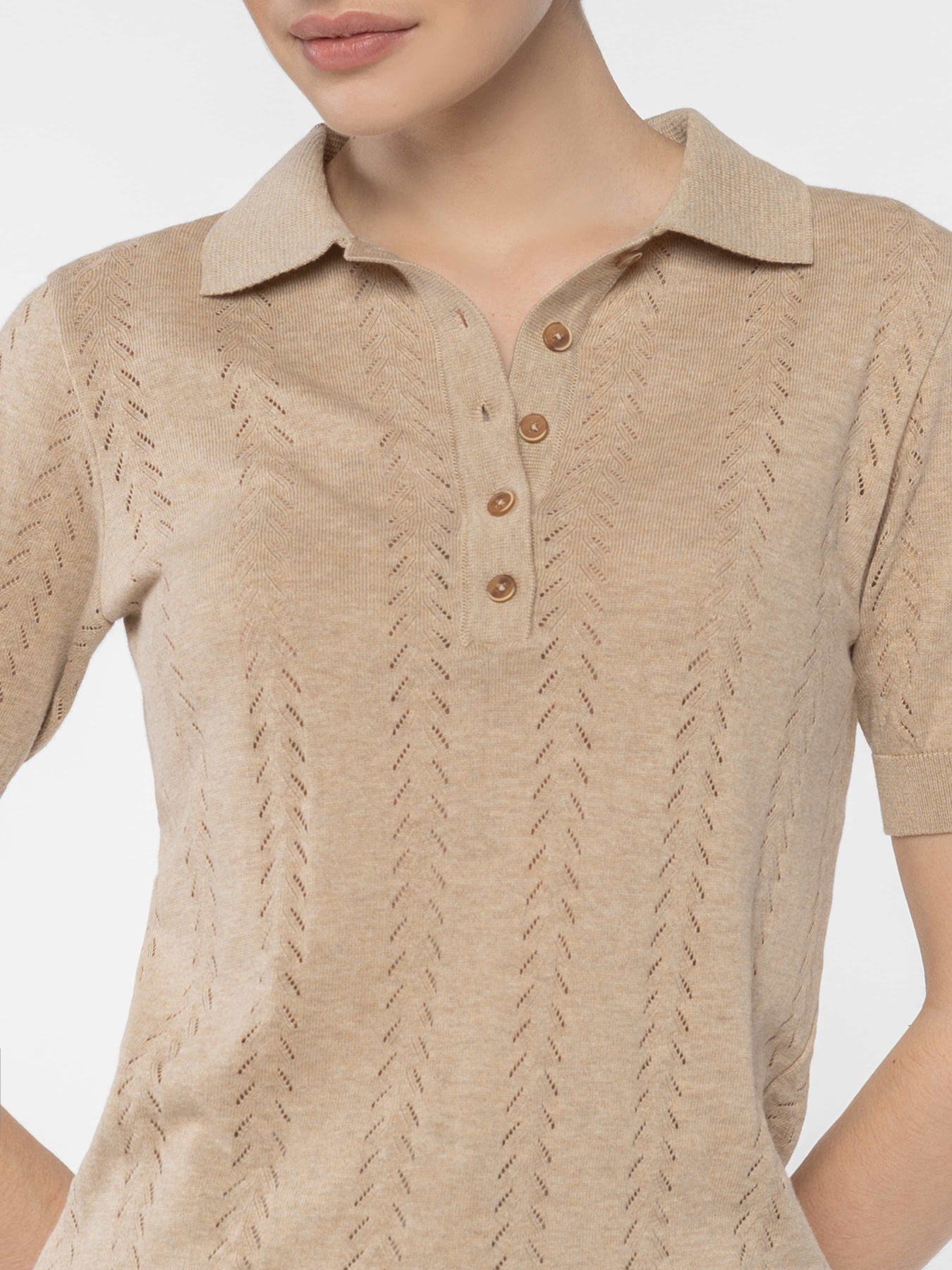 Футболки і поло Arber модель W09.08.16.522 Фото