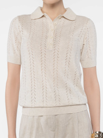 Футболки і поло Arber модель W09.10.16.523 Фото