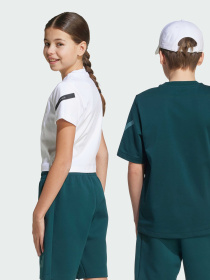 Футболка Adidas ZNE модель JW2432 Фото