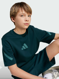 Футболка Adidas ZNE модель JW2432 Фото