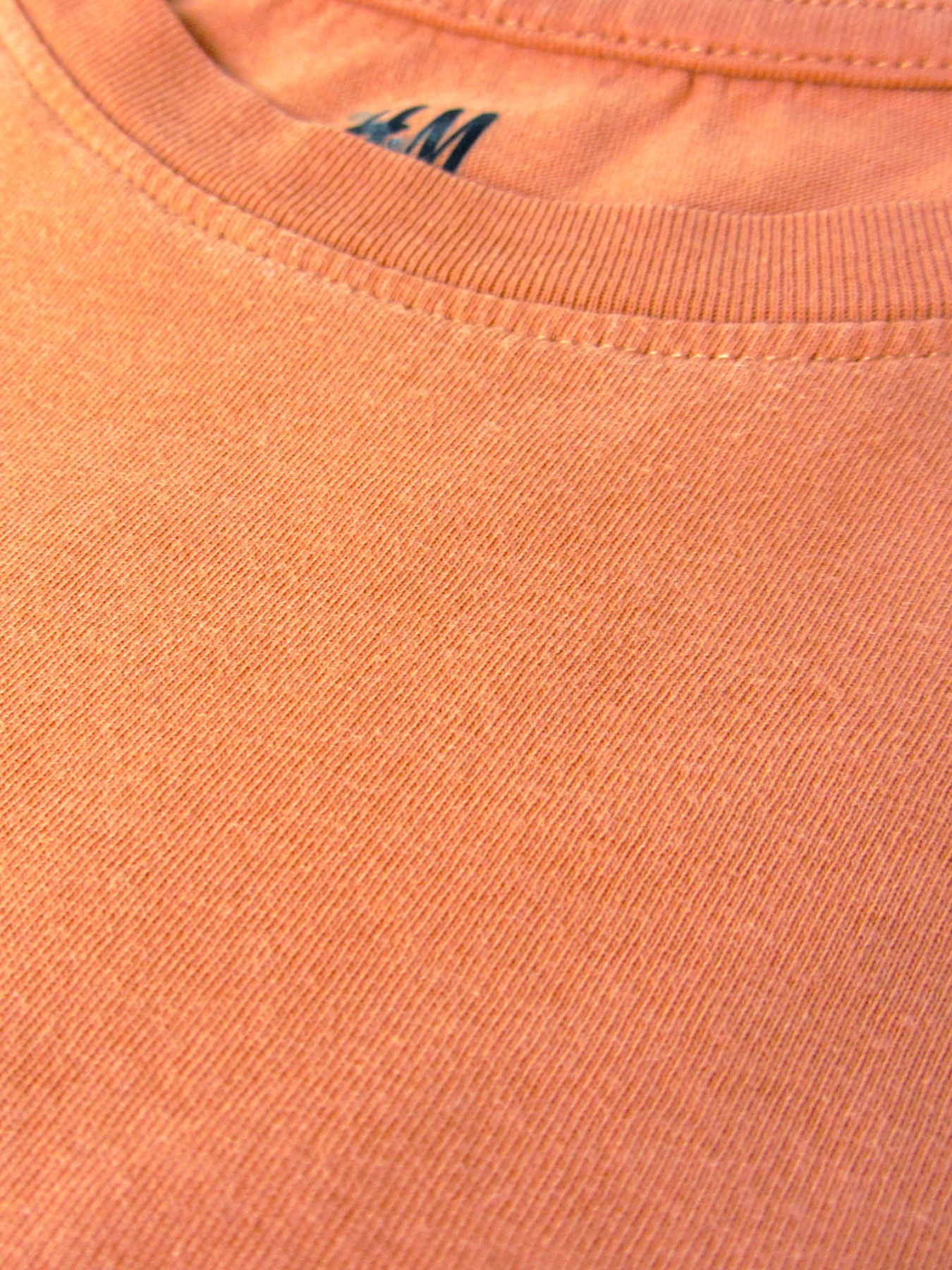 Лонгслив H&M модель 74597 Фото