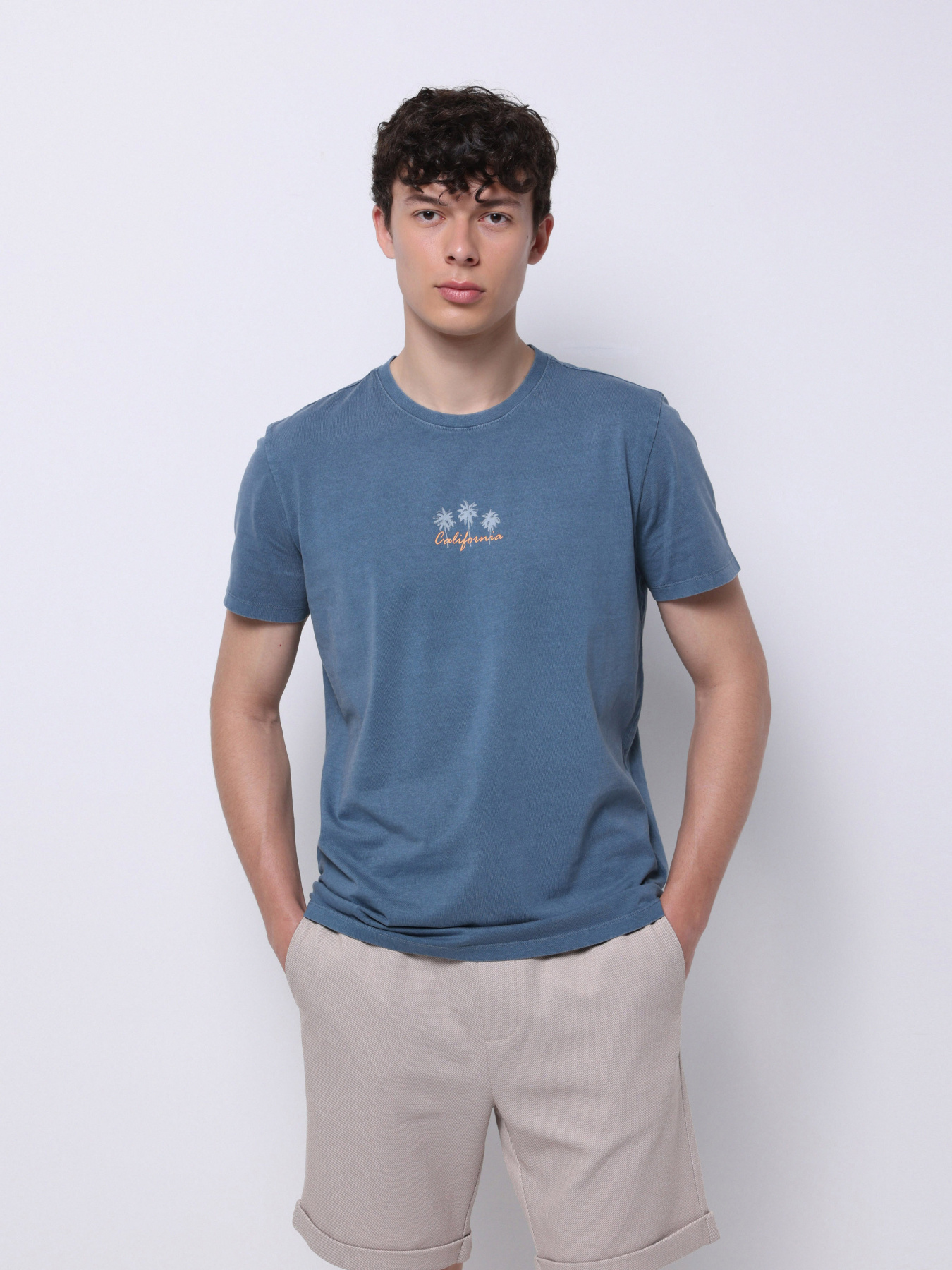 Футболки и поло Colin’s модель CL1074148_Q1.V1_INV Фото