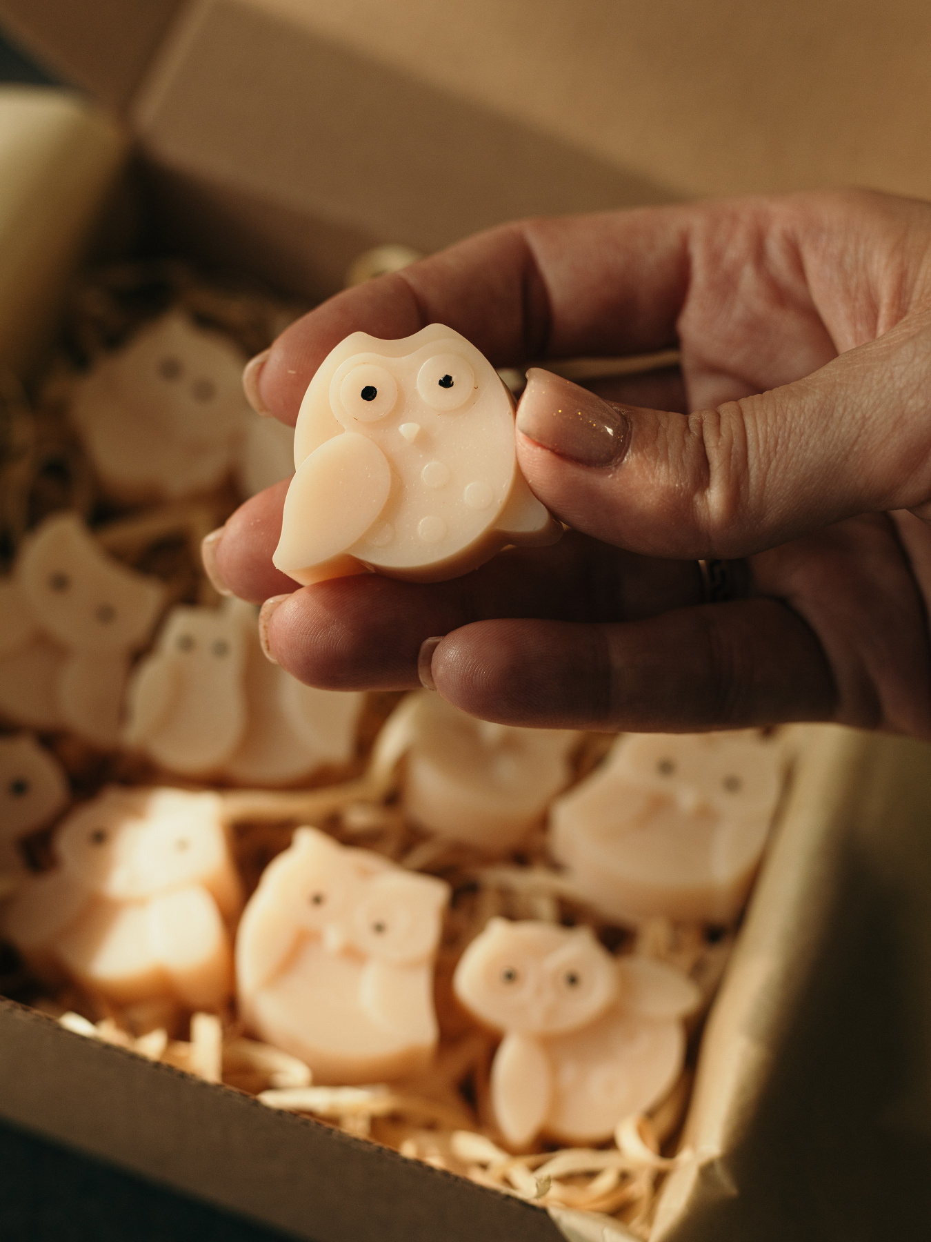 Набор аромасаше "Совы" (12 штук), аромат - герань, из натурального оливкового воска Candle Design модель 160.2010 Фото