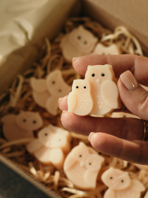 Набор аромасаше "Совы" (6 штук), аромат - герань, из натурального оливкового воска Candle Design модель 160.2011 Набор аромасаше "Совы" (6 штук), аромат - герань, из натурального оливкового воска Candle Design модель 160.2011 Фото