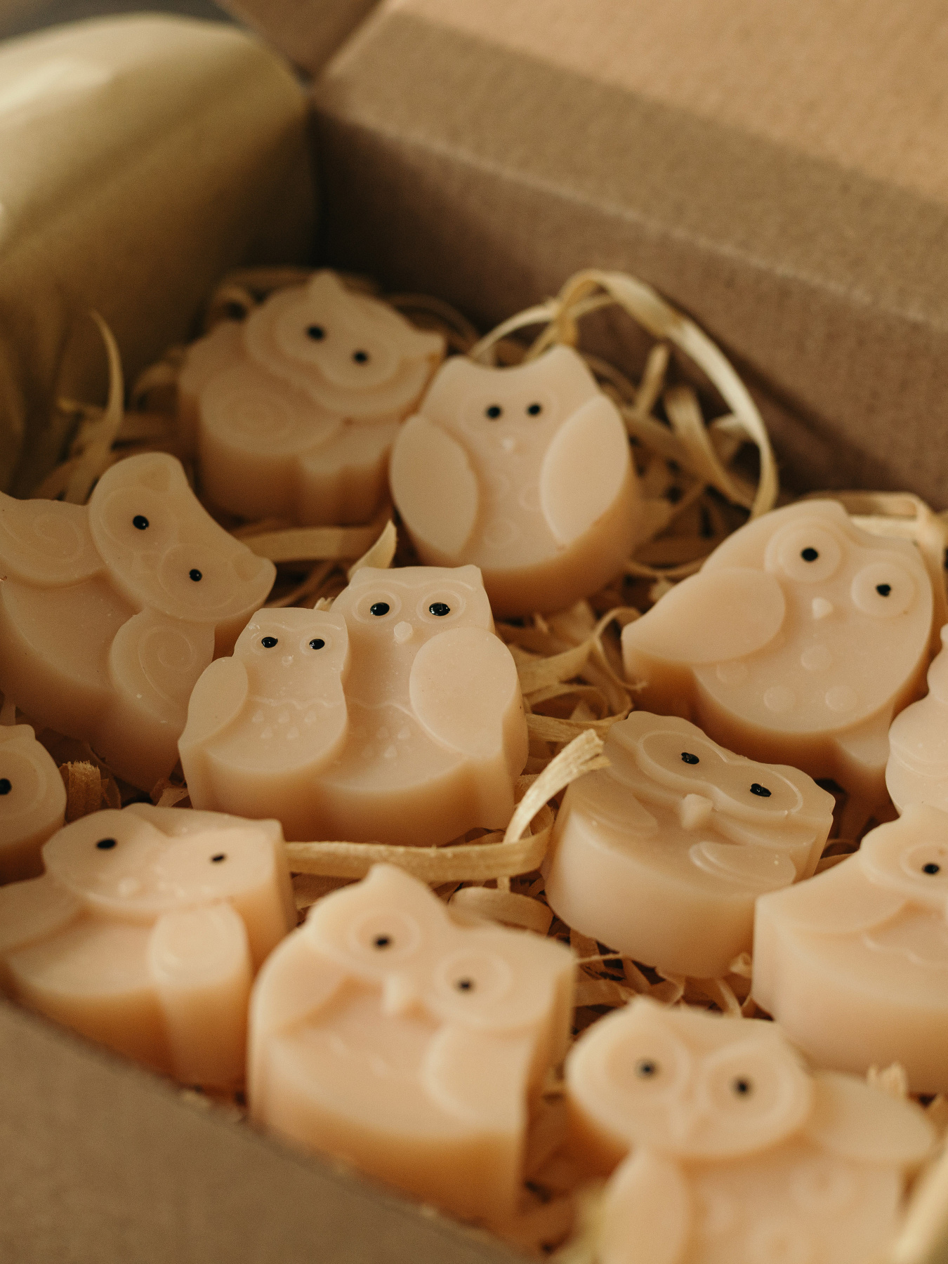 Набор аромасаше "Совы" (6 штук), аромат - герань, из натурального оливкового воска Candle Design модель 160.2011 Набор аромасаше "Совы" (6 штук), аромат - герань, из натурального оливкового воска Candle Design модель 160.2011 Фото