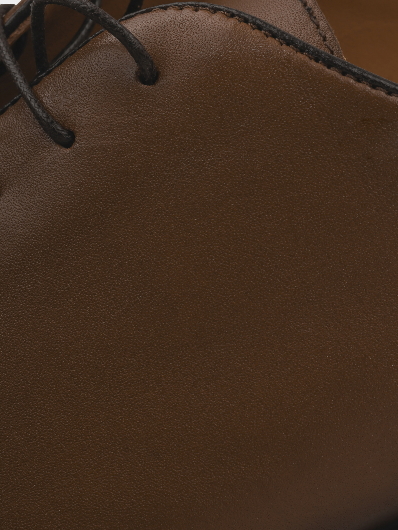 Туфлі Horton Sante модель 006-8 Фото