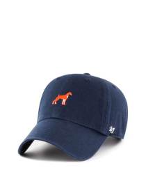 Кепка 47 Brand модель BSRIC1411GWS-NYG Кепка 47 Brand модель BSRIC1411GWS-NYG Фото