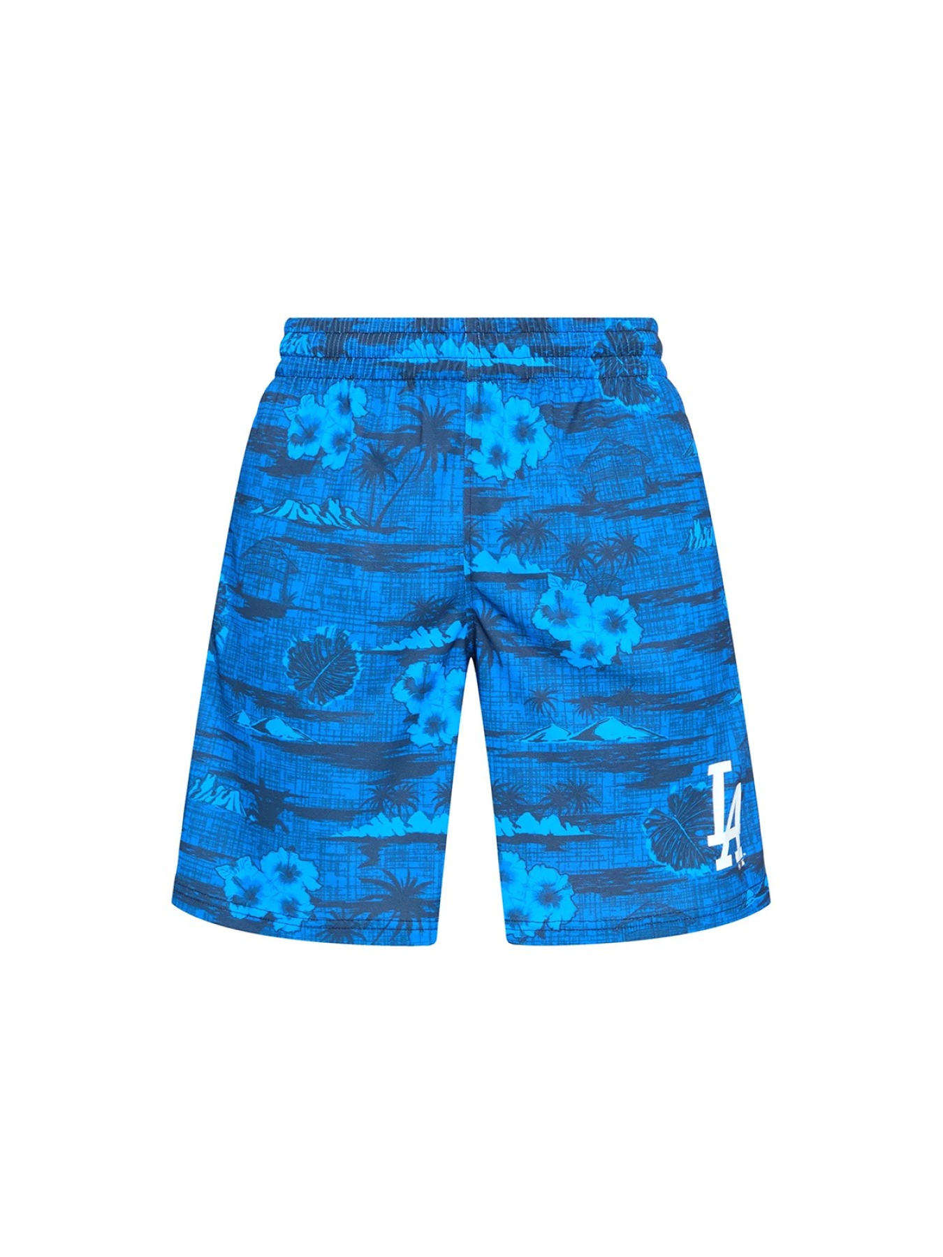 Шорты спортивные 47 Brand модель 657659FN-FS Фото