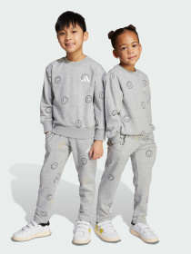 Спортивный костюм Adidas модель JN2158 Фото