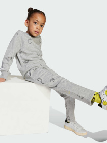 Спортивный костюм Adidas модель JN2158 Фото