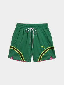 Шорты спортивные PUMA Hoops x Tmnt Short модель 630931 Фото