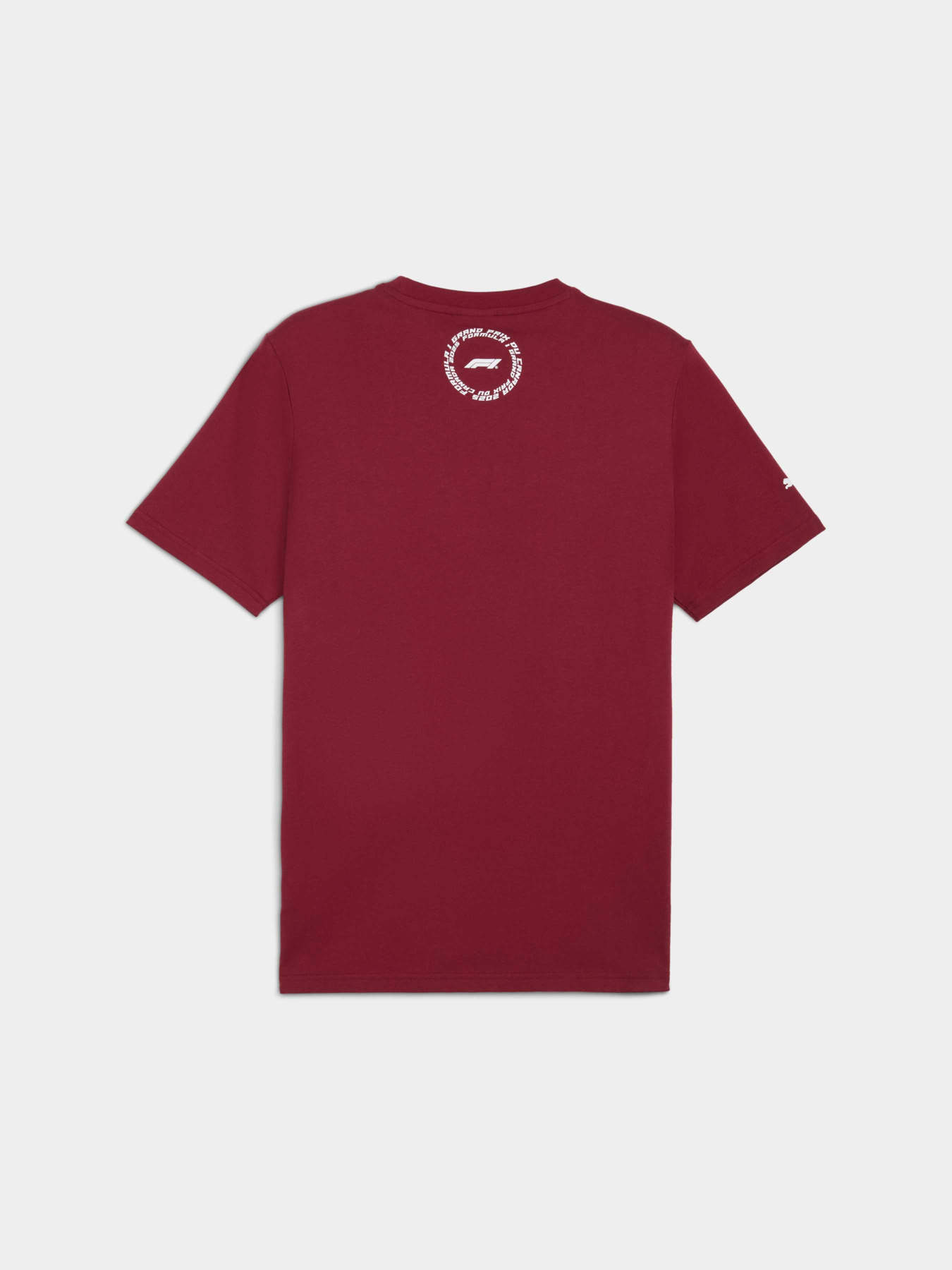 Футболка PUMA F1 Canada Tee модель 630173 Фото