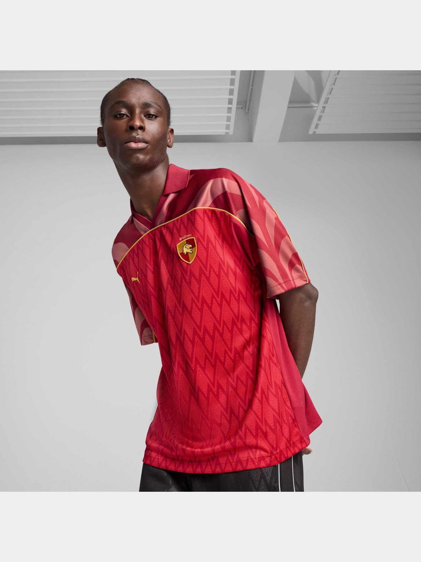 Футболка PUMA x Harry Potter Jersey модель 630096 Фото