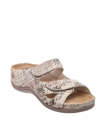 Шлепанцы LEDI Anatomic модель LED-433_beige Фото