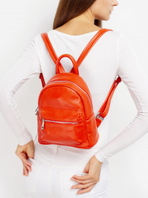 Рюкзаки Regina Notte модель 2000000150321 Фото