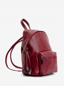 Рюкзаки Regina Notte модель 2000000133911 Фото