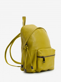 Рюкзаки Regina Notte модель 2000000151465 Рюкзаки Regina Notte модель 2000000151465 Фото