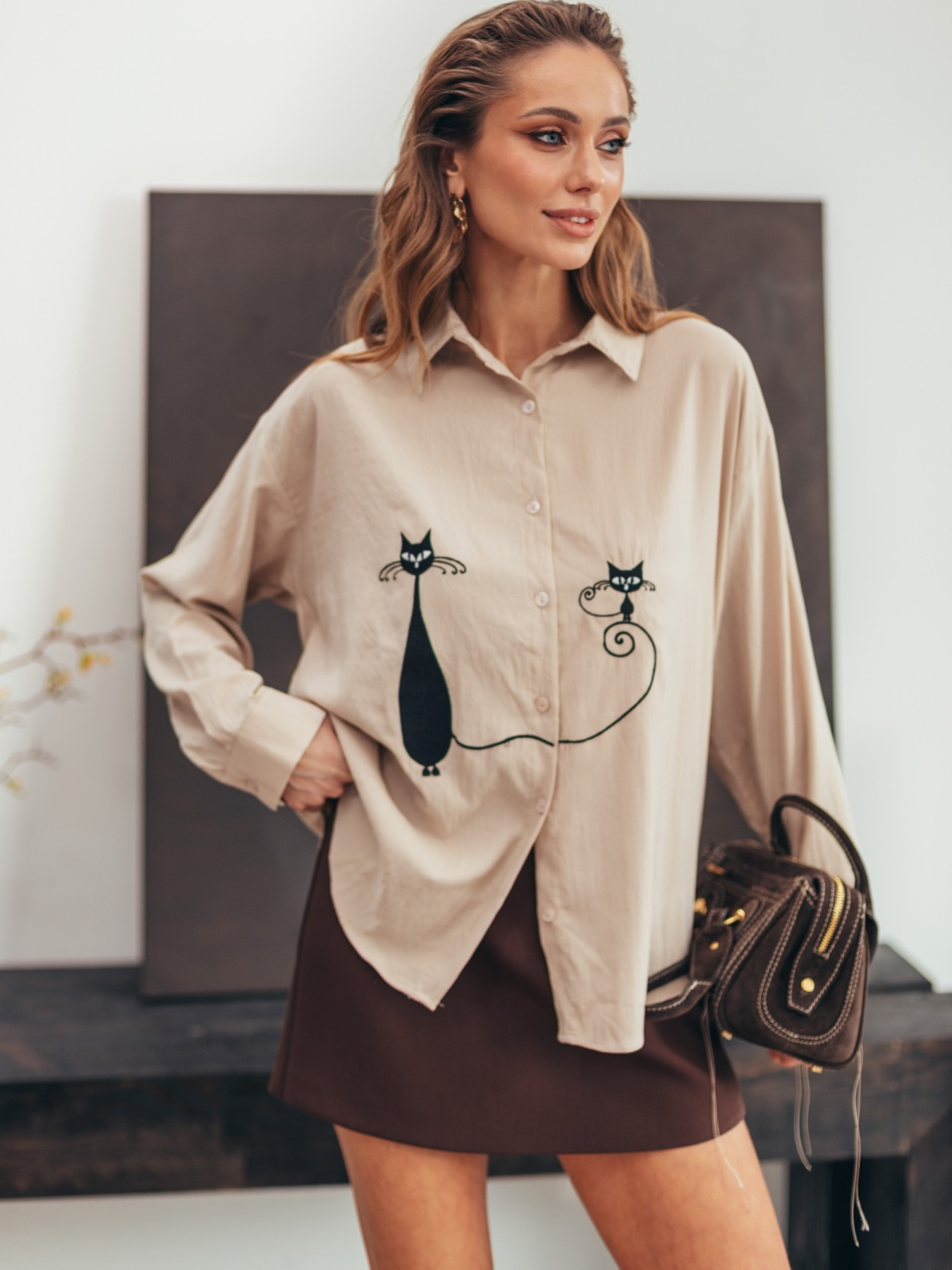 Рубашки Dressa модель 73877 Фото