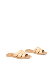 Шлепанцы Alex Bell модель 1174686 Шлепанцы Alex Bell модель 1174686 Фото