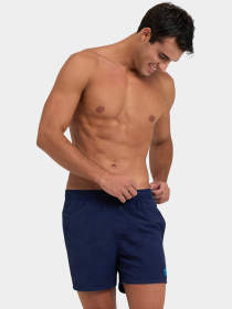 Шорти для плавання Arena модель 006442-780 Фото