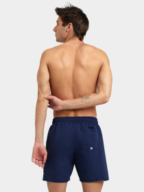 Шорты для плавания Arena модель 006443-780 Фото