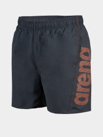 Шорты для плавания Arena модель 006444-590 Фото