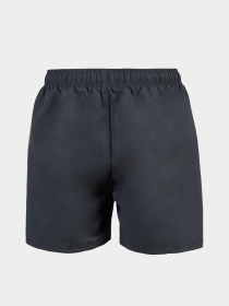 Шорты для плавания Arena модель 006444-590 Фото