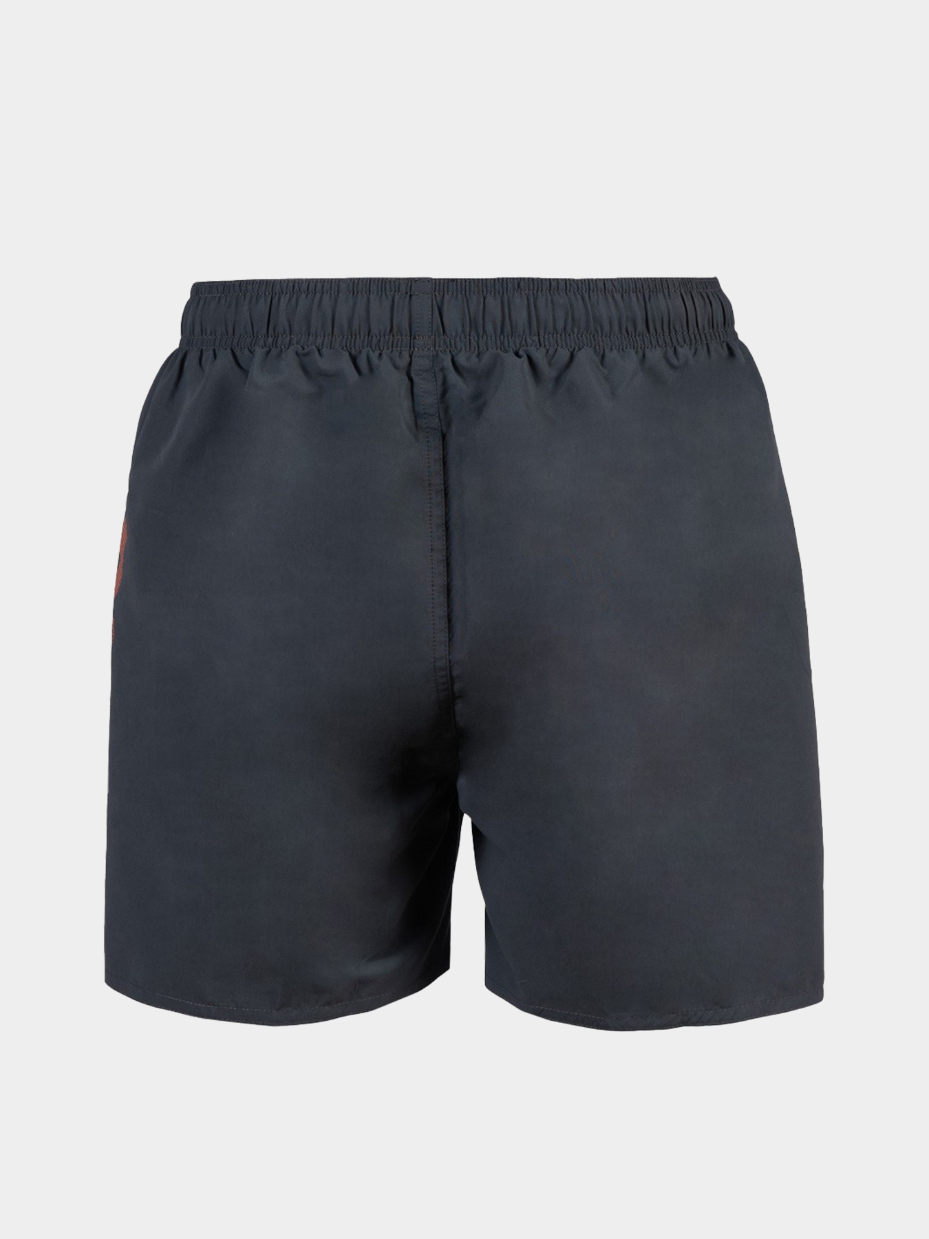 Шорты для плавания Arena модель 006444-590 Шорты для плавания Arena модель 006444-590 Фото