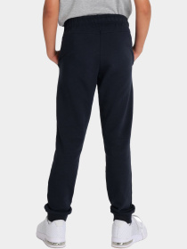 Штани спортивні Arena модель 005350-700 Фото