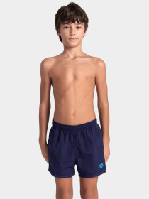 Шорты для плавания Arena модель 006445-781 Фото