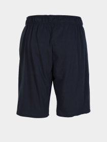 Шорти Arena модель 005447-710 Фото